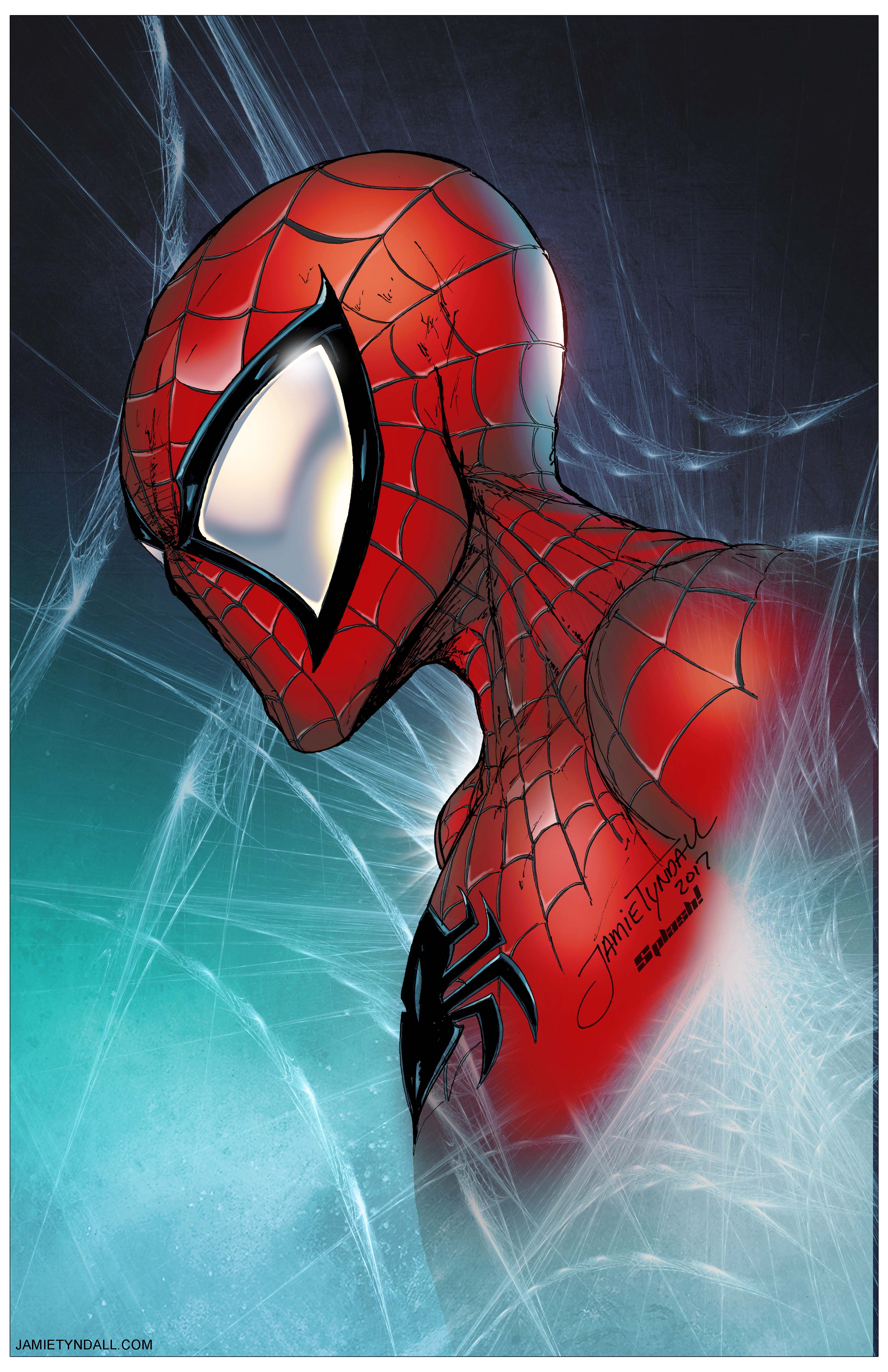 Spiderman Bust Print