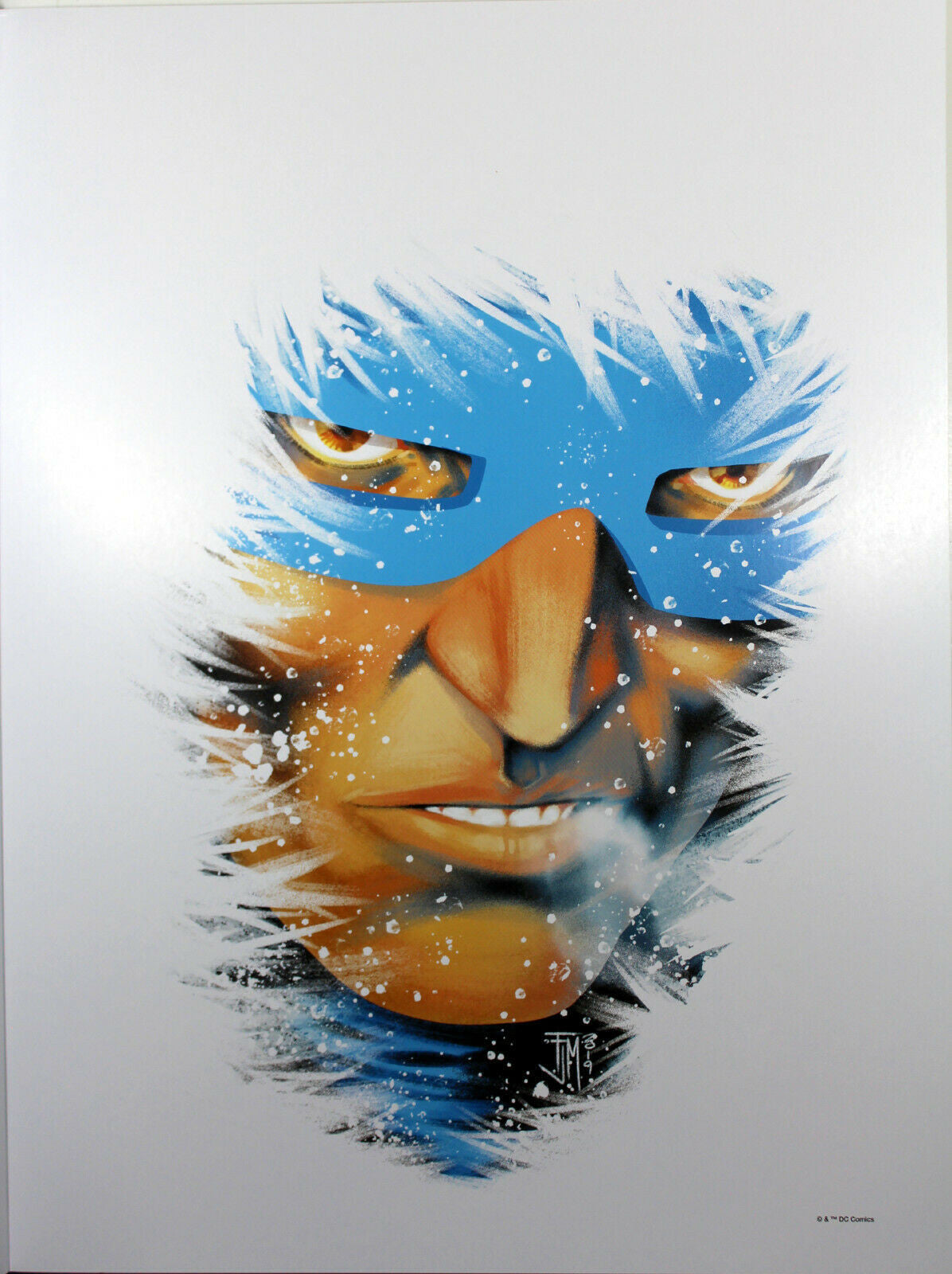 CAPTAIN COLD ART PRINT by Francis Manapul ~ 12" x 16" ~ DC Year of the Villain