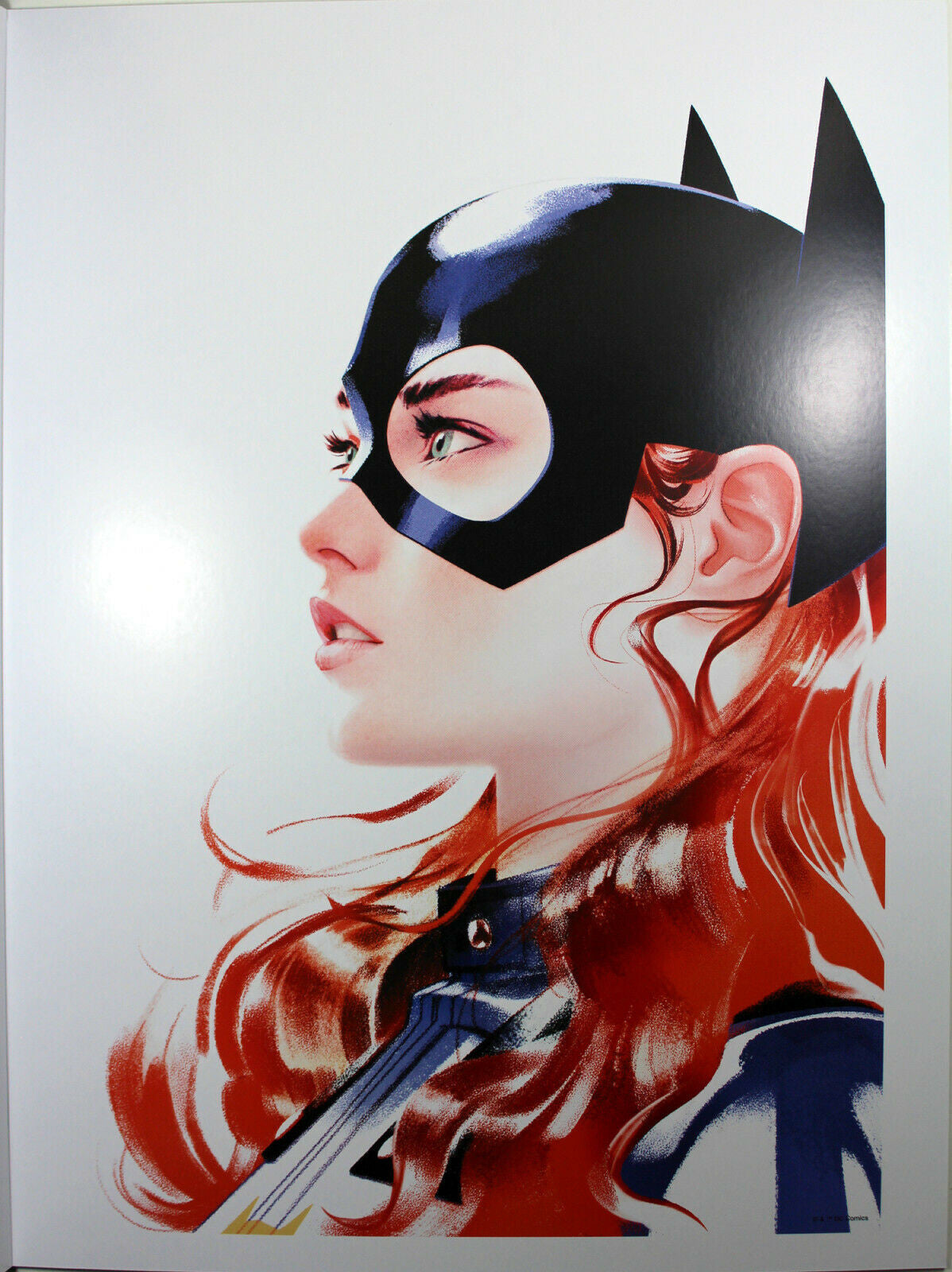 BATGIRL #23 ART PRINT by Joshua Middleton ~ 12" x 16" ~ Great Condition