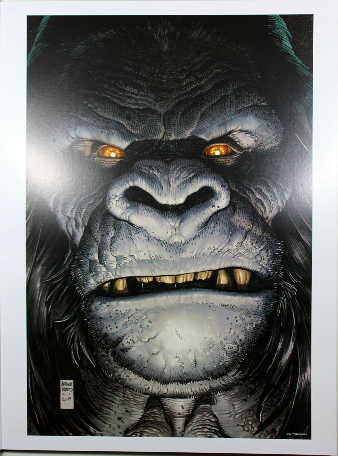 GORILLA GRODD ART PRINT by Art Adams ~ 12" x 16" ~ DC Year of the Villain