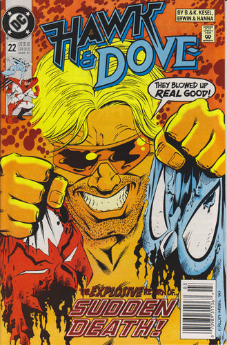HAWK & DOVE #22 COMIC BOOK ~ DC Comics