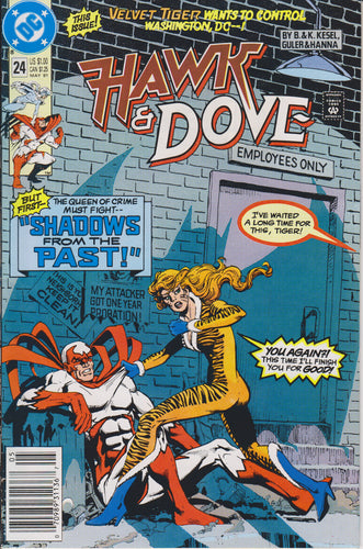 HAWK & DOVE #24 COMIC BOOK ~ DC Comics
