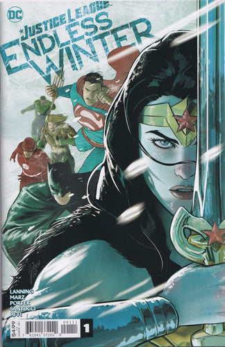 JUSTICE LEAGUE: ENDLESS WINTER #1 (MIKEL JANIN VARIANT) Comic Book ~ DC Comics