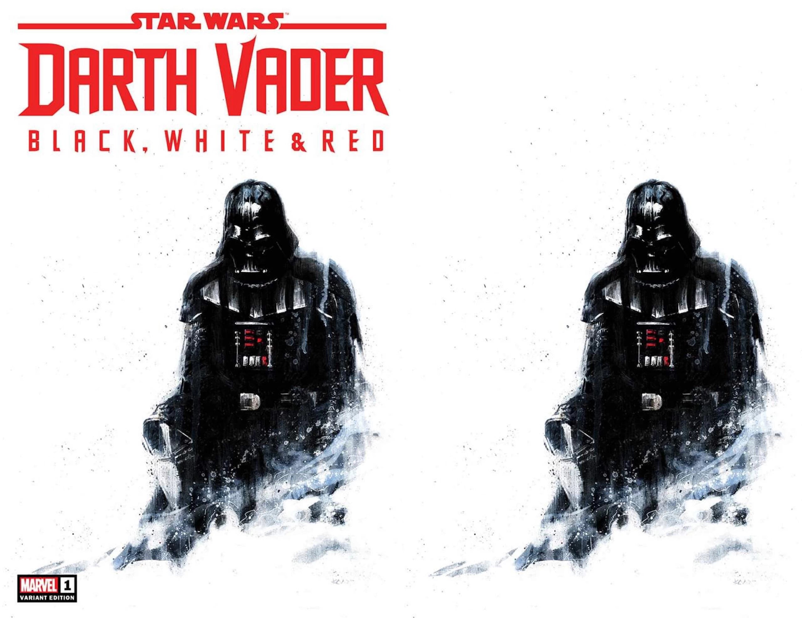 STAR WARS ~ DARTH VADER: BLACK, WHITE & RED #1 (KAARE ANDREWS EXCLUSIVE TRADE/VIRGIN VARIANT SET)