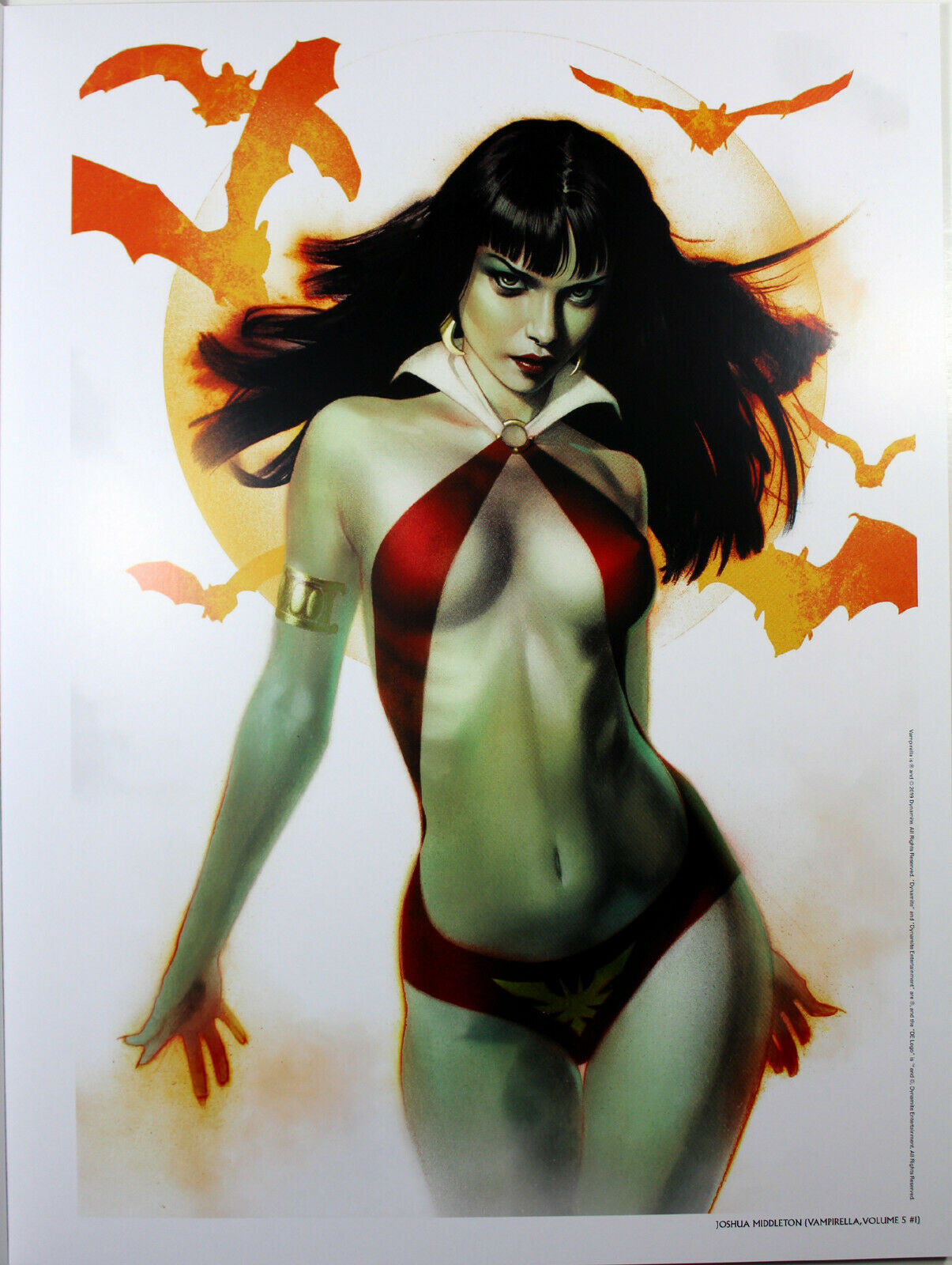 VAMPIRELLA ART PRINT by Josh Middleton ~ 12" x 16" ~ Great Condition