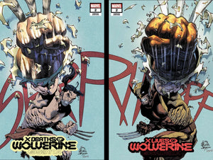 X LIVES/DEATHS OF WOLVERINE #2 (RYAN STEGMAN EXCLUSIVE CONNECTING VARIANT SET)(2022)